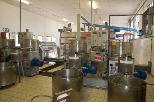 Olive Oil Extraction Systems 